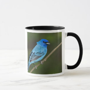 USA, Texas, South Padre Island Tasse