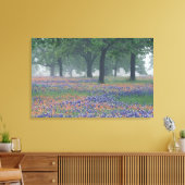 USA, Texas, Texas Hill Country Expansion field Leinwanddruck (Insitu (Wohnzimmer))