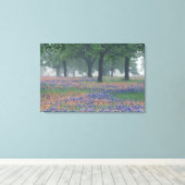 USA, Texas, Texas Hill Country Expansion field Leinwanddruck (Insitu (Holzboden))