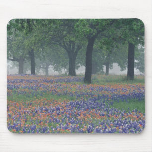 USA, Texas, Texas Hill Country Expansion field Mousepad
