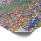 USA, Texas, Texas Hill Country Expansion field Poster (Ecke)