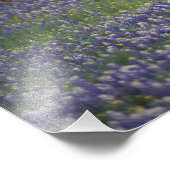 USA, Texas, Texas Hill Country, Hereford Fotodruck (Ecke)