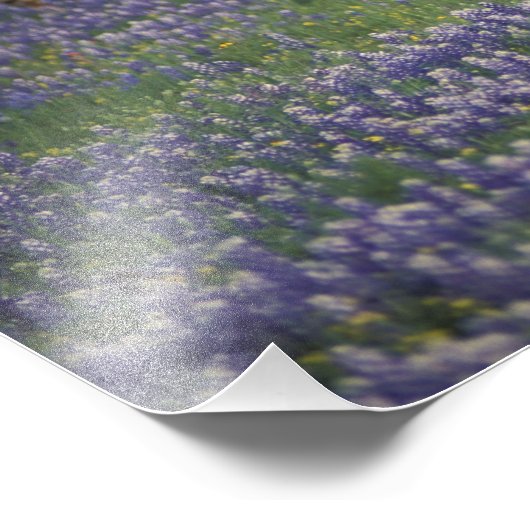 USA, Texas, Texas Hill Country, Hereford Fotodruck (Ecke)