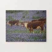 USA, Texas, Texas Hill Country, Hereford Puzzle (Horizontal)