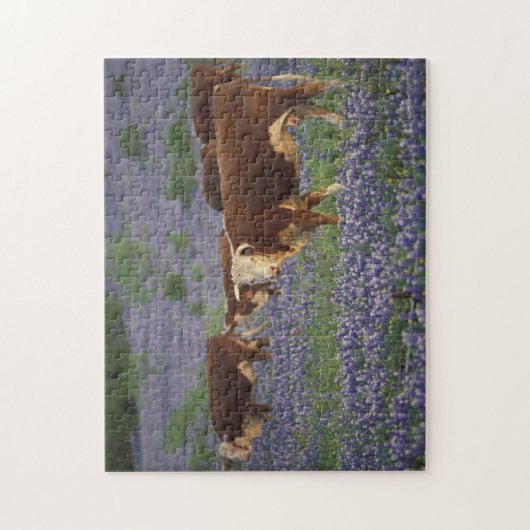 USA, Texas, Texas Hill Country, Hereford Puzzle (Vertikal)