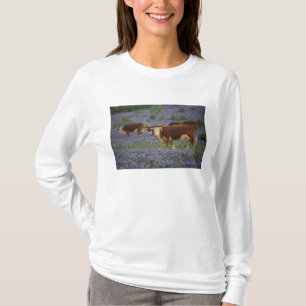 USA, Texas, Texas Hill Country, Hereford T-Shirt