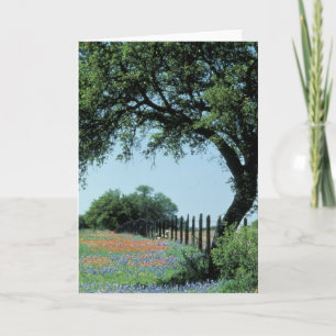 USA, Texas, Texas Hill Country Paintbrush und Karte