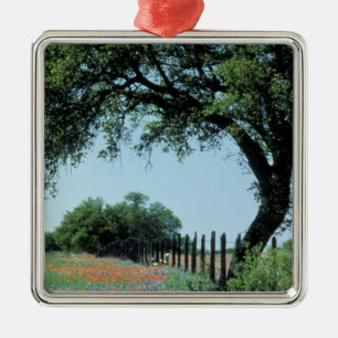 USA, Texas, Texas Hill Country Paintbrush und Ornament Aus Metall