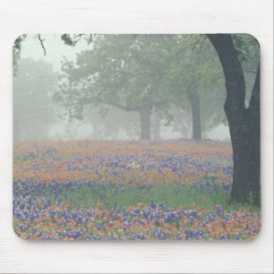 USA, Texas. Texas-Pinsel und Blauhauben Mousepad