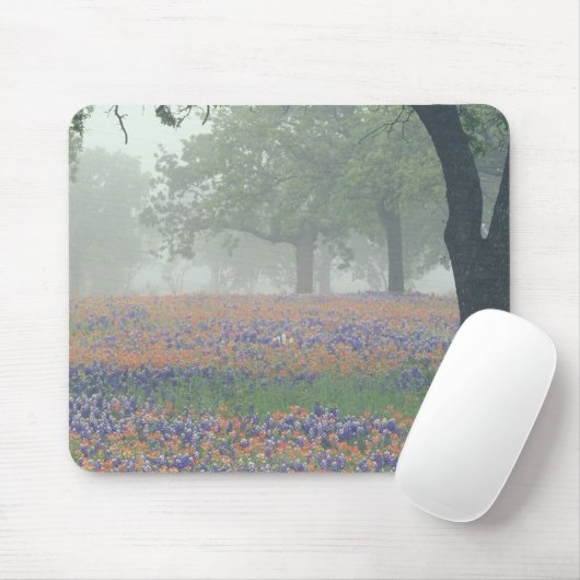 USA, Texas. Texas-Pinsel und Bluebonnets Mousepad (Mit Mouse)