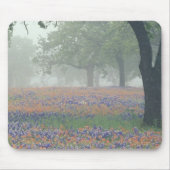 USA, Texas. Texas-Pinsel und Bluebonnets Mousepad (Vorne)