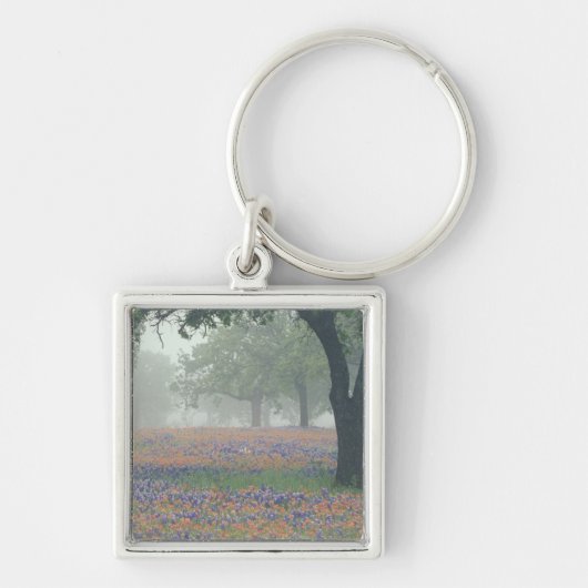 USA, Texas. Texas-Pinsel und Bluebonnets Schlüsselanhänger (Vorne)