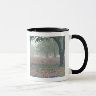 USA, Texas. Texas-Schminkwurz und Blauhut Tasse