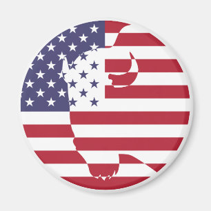 USA United Staaten Buffalo Bison American National Magnet