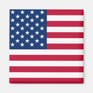 USA - US Flagge unter amerikanischer Flagge Magnet