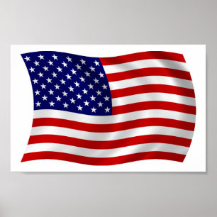 USA (USA) Flag Poster Print