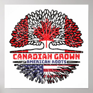 USA USA Vereinigte Staaten Kanada Tree Poster