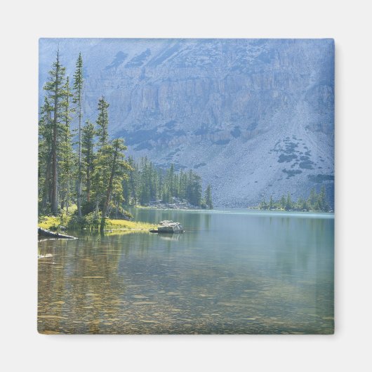 USA, Utah, Ashley National Forest, High Uintas Magnet (Vorne)