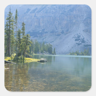 USA, Utah, Ashley National Forest, High Uintas Quadratischer Aufkleber