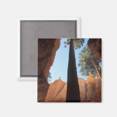 USA, Utah, Bryce Canyon National Park. Groß Magnet (Vorderseite/Rückseite)