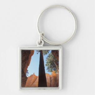 USA, Utah, Bryce Canyon National Park.Groß Schlüsselanhänger