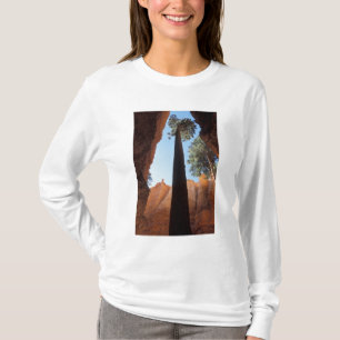 USA, Utah, Bryce Canyon National Park. Hoch T-Shirt