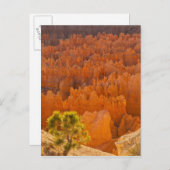 USA, Utah, Bryce Canyon National Park Postkarte (Vorne/Hinten)