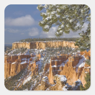 USA, Utah, Bryce Canyon National Park.Sonnenschein Quadratischer Aufkleber