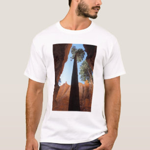 USA, Utah, Bryce Canyon National Park. Tal T-Shirt