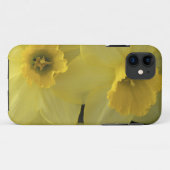 USA, Utah, Cache Valley Daffodils Case-Mate iPhone Hülle (Rückseite (Horizontal))