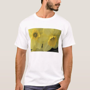USA, Utah, Cache Valley Daffodils T-Shirt