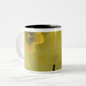 USA, Utah, Cache Valley Daffodils Zweifarbige Tasse (Vorderseite Links)
