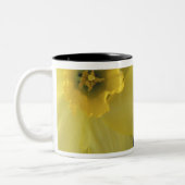 USA, Utah, Cache Valley Daffodils Zweifarbige Tasse (Links)