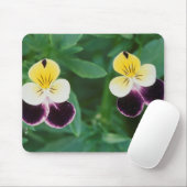 USA, Utah, Cache Valley, Johnny Jump Up Mousepad (Mit Mouse)