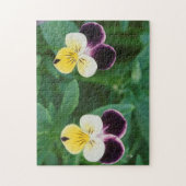 USA, Utah, Cache Valley, Johnny Jump Up Puzzle (Vertikal)