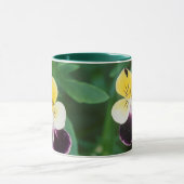 USA, Utah, Cache Valley, Johnny Jump Up Tasse (Zentrum)