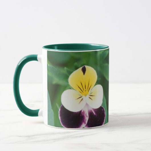 USA, Utah, Cache Valley, Johnny Jump Up Tasse (Links)