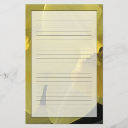 USA, Utah, Cache Valley Narzissen Briefpapier (Vorderseite)
