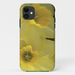 USA, Utah, Cache Valley Narzissen Case-Mate iPhone Hülle