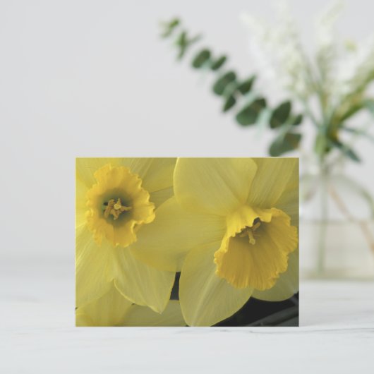 USA, Utah, Cache Valley Postkarte (Stehend Vorderseite)