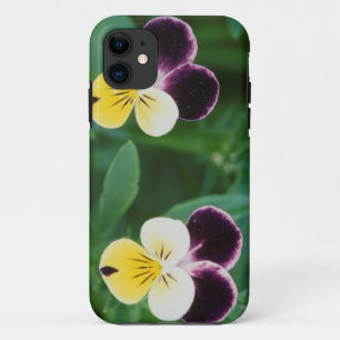 USA, Utah, Cache Valley, Stiefmütterchen Case-Mate iPhone Hülle
