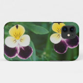 USA, Utah, Cache Valley, Stiefmütterchen Case-Mate iPhone Hülle (Rückseite (Horizontal))