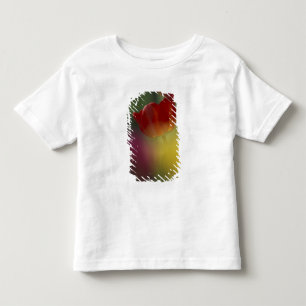 USA, Utah, Cache Valley Tulips in einem Garten Kleinkind T-shirt