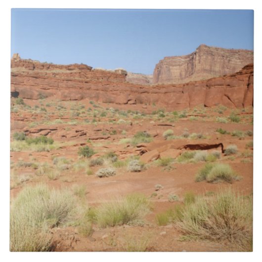 USA, Utah, Canyonlands NP, Shafer Canyon Fliese (Vorderseite)