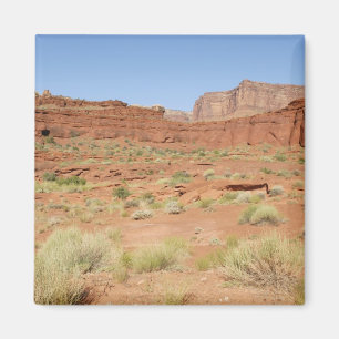 USA, Utah, Canyonlands NP, Shafer Canyon Magnet
