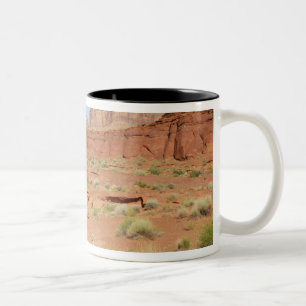 USA, Utah, Canyonlands NP, Shafer Canyon Zweifarbige Tasse