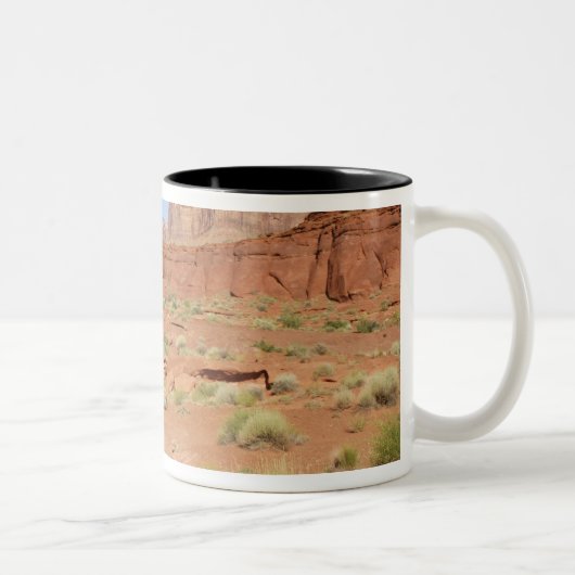 USA, Utah, Canyonlands NP, Shafer Canyon Zweifarbige Tasse (Rechts)
