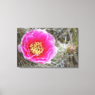 USA, Utah, Canyonlands NP, Wüste Prickly Pear Leinwanddruck