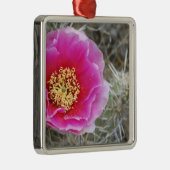 USA, Utah, Canyonlands NP, Wüste Prickly Pear Ornament Aus Metall (Rechts)