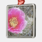 USA, Utah, Canyonlands NP, Wüste Prickly Pear Ornament Aus Metall (Links)